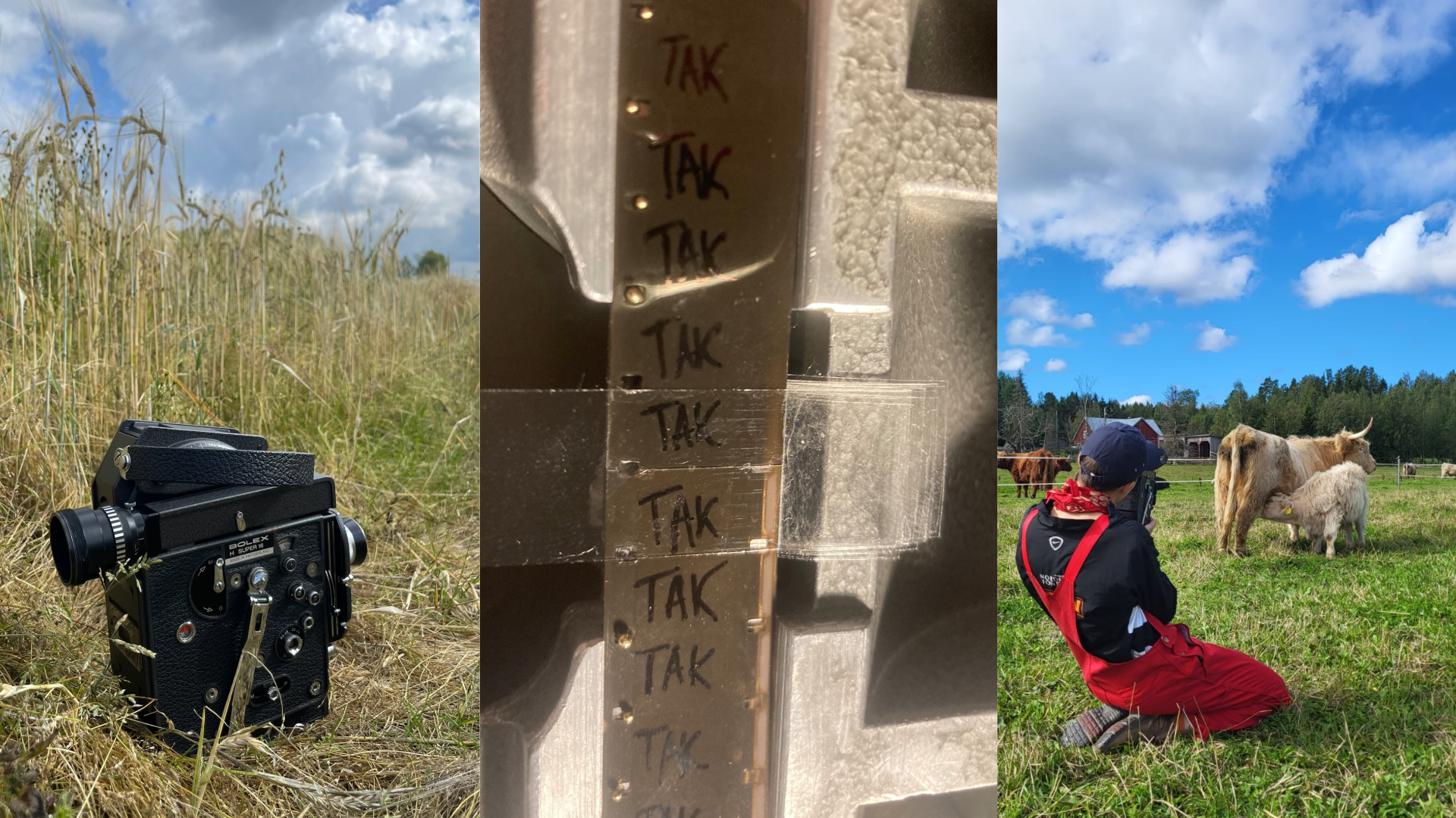 Tre billeder i een 1. viser et 16mm kamera derefter et stykke film hvor der står tak og til sidst maia som filmer nogle køer.